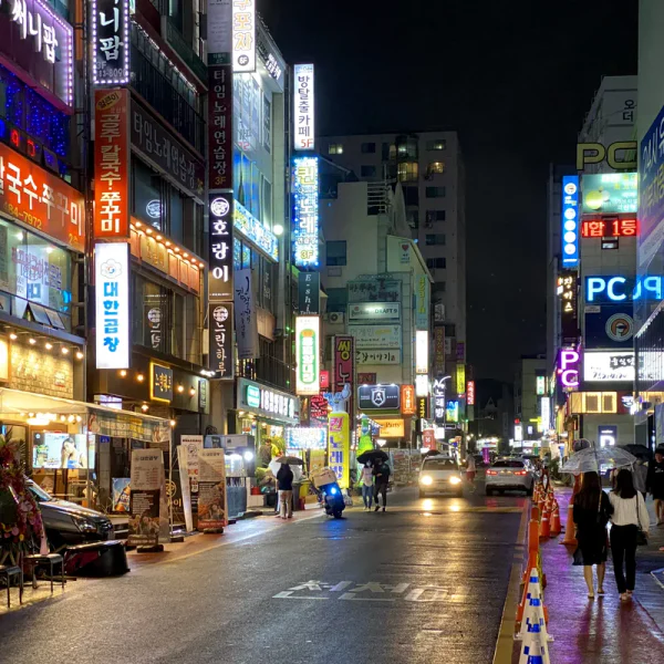 포레스트 네이처스튜디오 홈타이 대표 안내 이미지