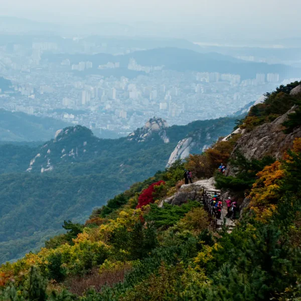 카리나스파 마사지 대표 안내 이미지